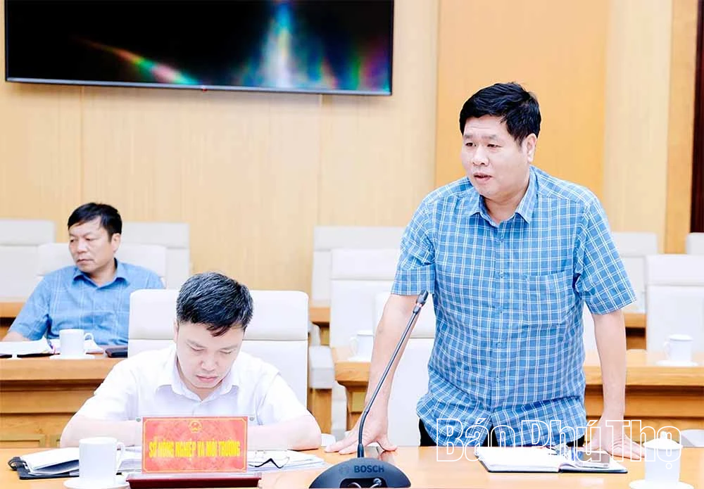 Đề nghị sáp nhập 3 trường cao đẳng thành Trường Cao đẳng Hòa Bình