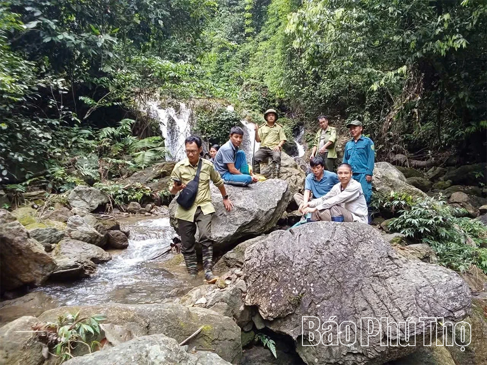 Chủ động phòng cháy, chữa cháy rừng trong cao điểm nắng nóng