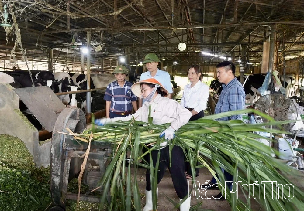Chủ động thực hiện các biện pháp phòng chống nắng nóng