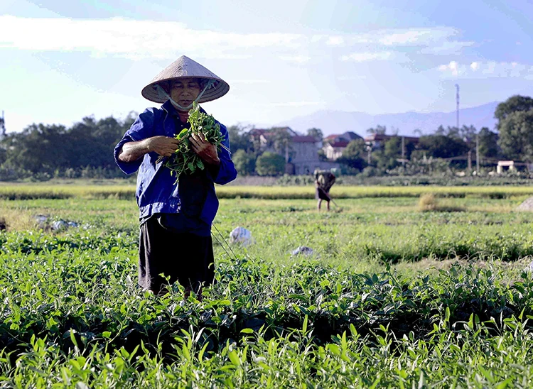 Thời tiết ngày 28/5: Bắc Bộ nắng nóng trước khi đón mưa dông, Nam Bộ mưa to cục bộ