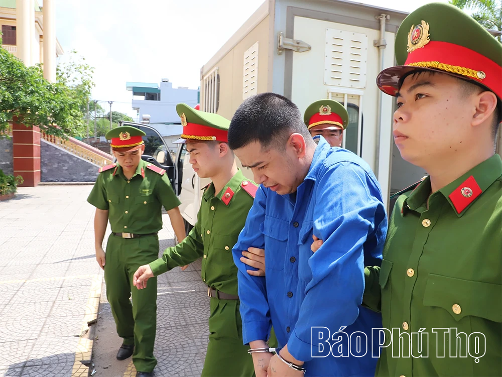 7 năm tù cho bị cáo dùng điện mưu sát mẹ ruột