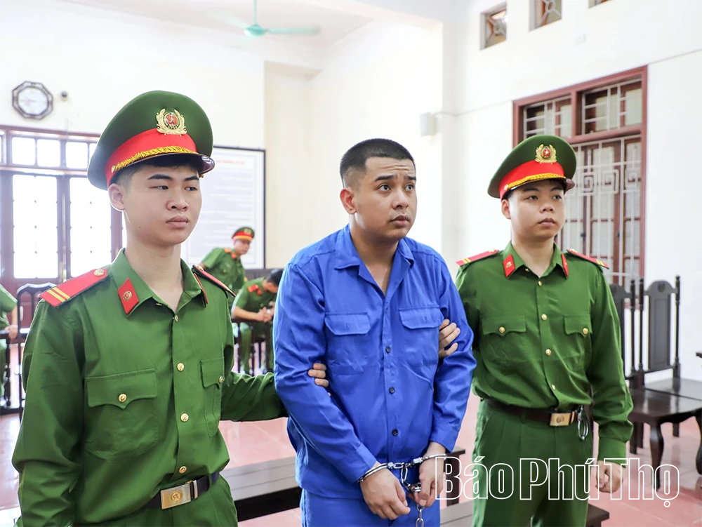 7 năm tù cho bị cáo dùng điện mưu sát mẹ ruột