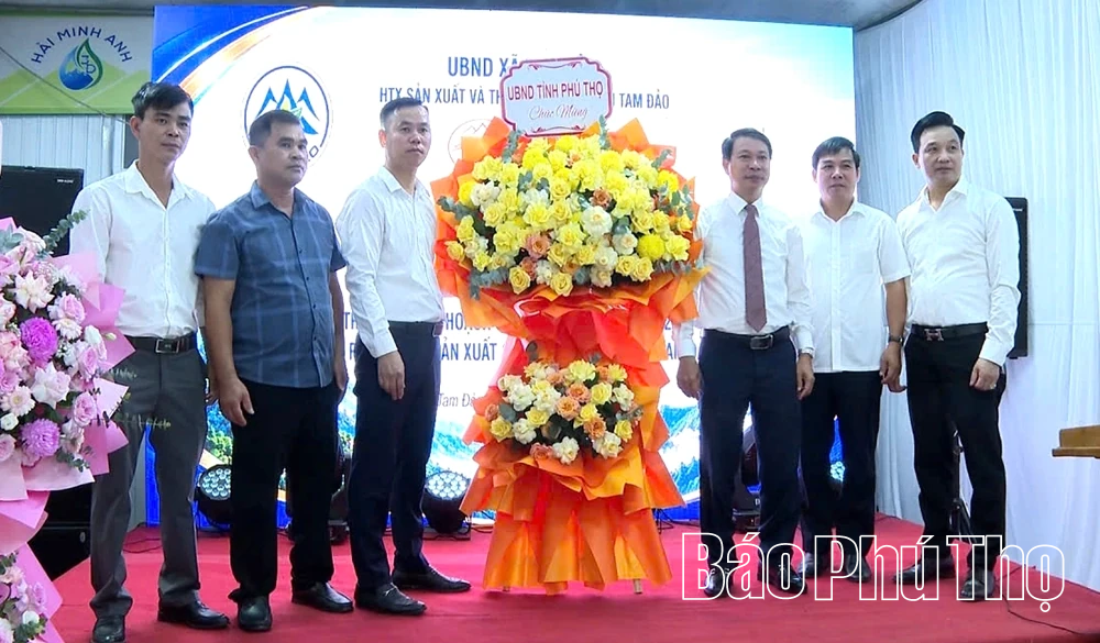 Ra mắt Hợp tác xã Sản xuất và thương mại dịch vụ Tam Đảo