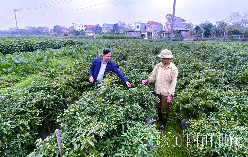 Tam Đảo phát triển kinh tế đa ngành