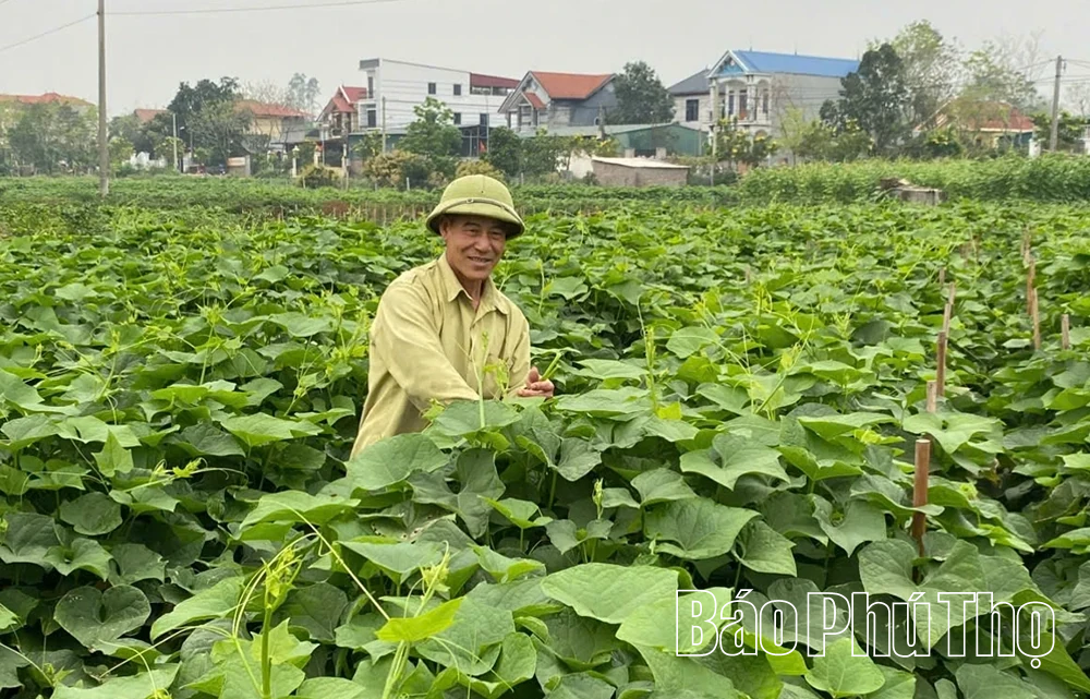 Tam Đảo phát triển kinh tế đa ngành