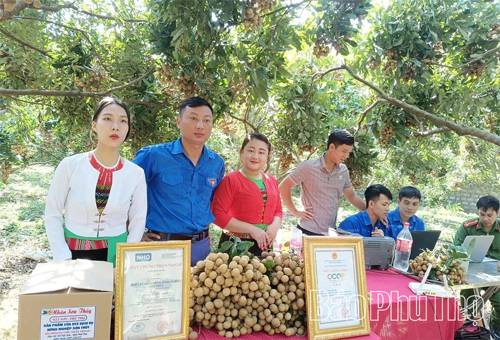 https://c.dhcn.vn/img/desktop/d-baophutho.vn/news/2622/204d0072626t11000l1-204d0072625t1103.webp?r=37