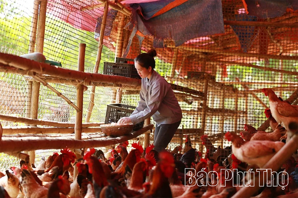 Ly hương để trở về