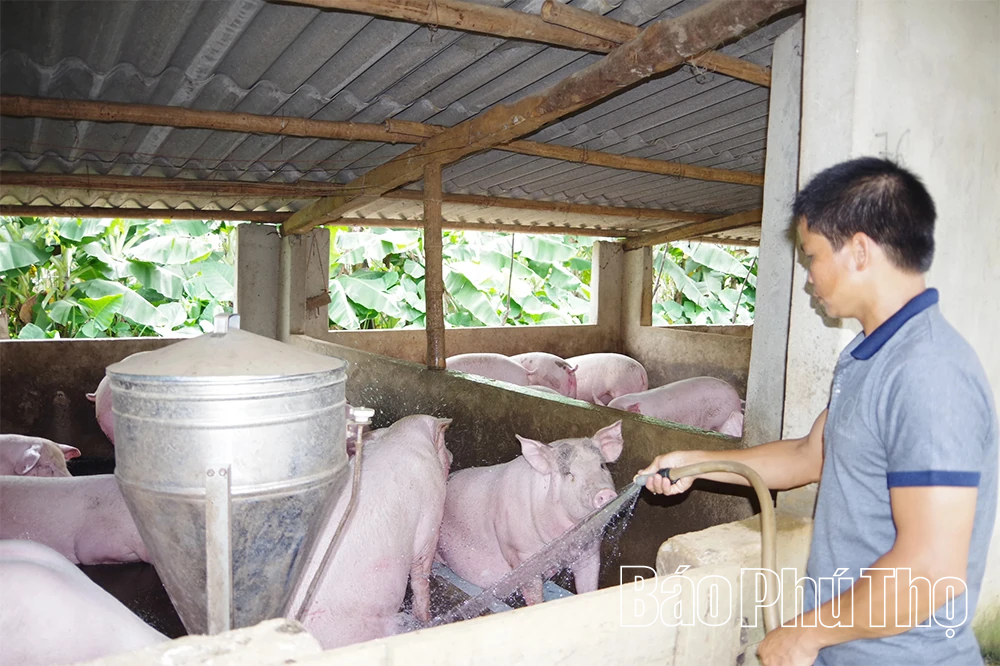 Chủ động phòng, chống dịch bệnh trên đàn vật nuôi, thủy sản mùa nắng nóng