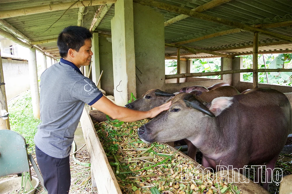 Chủ động phòng, chống dịch bệnh trên đàn vật nuôi, thủy sản mùa nắng nóng