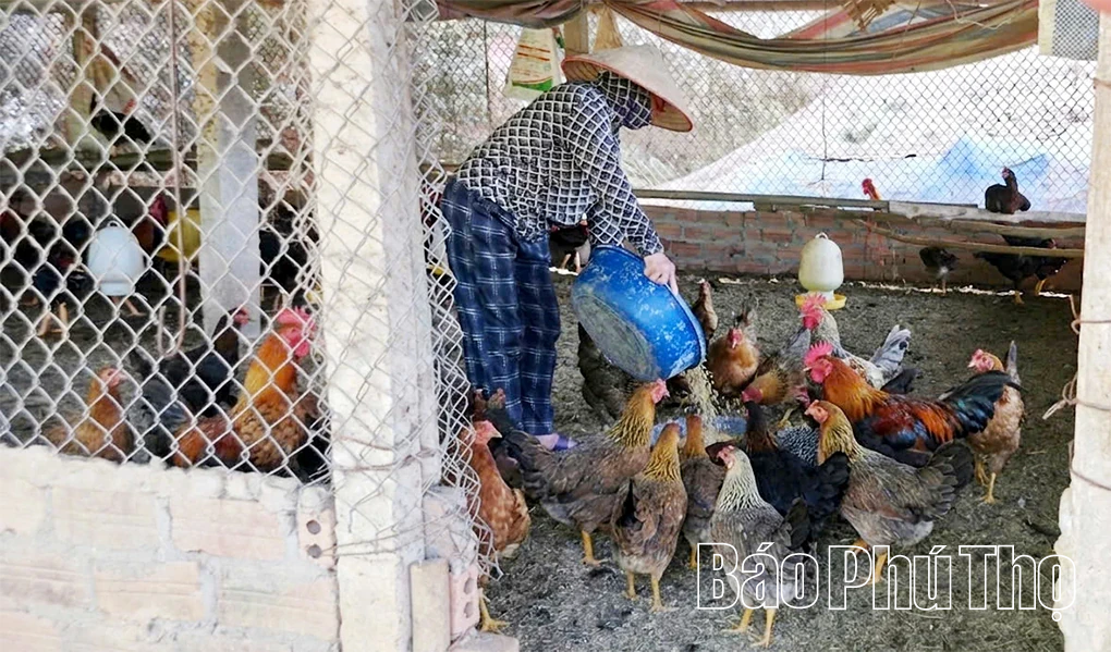 Nguồn vốn chính sách đồng hành cùng khát vọng vươn lên