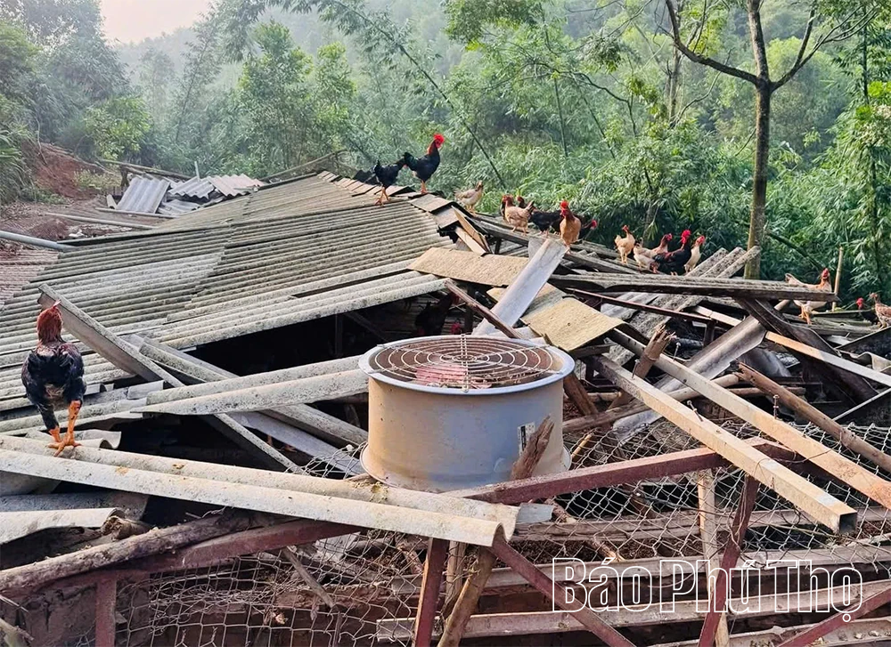 Vạn Xuân khẩn trương khắc phục hậu quả mưa dông