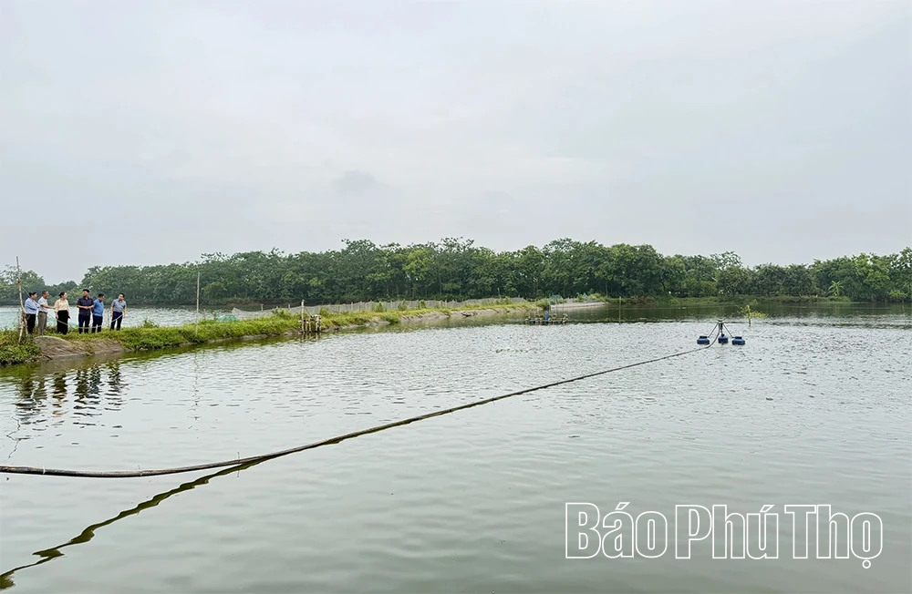 Khảo sát mô hình chăn nuôi, thủy sản phục vụ mục tiêu tăng trưởng ngành nông nghiệp