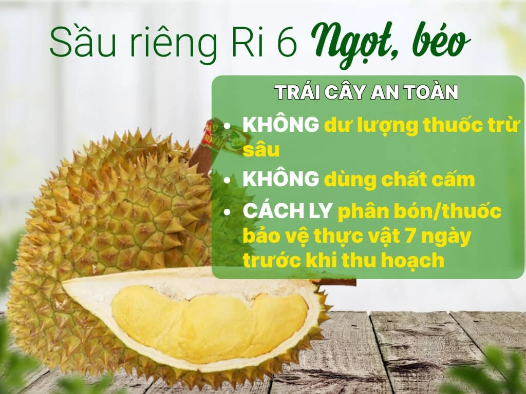 Giá cả thị trường ngày 5/6/2026