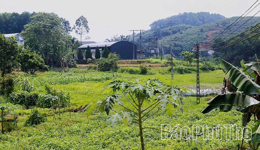 Quảng Yên siết chặt quản lý quỹ đất công ích sau sáp nhập
