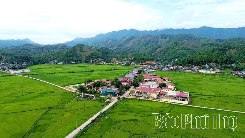 Đất rừng khơi mạch tiềm năng