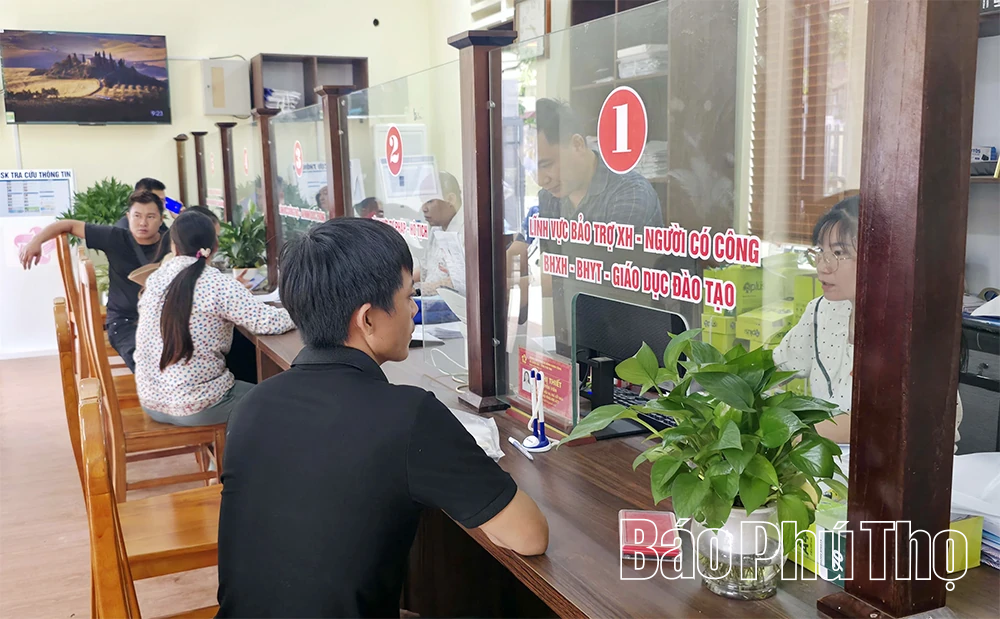 Đất rừng khơi mạch tiềm năng