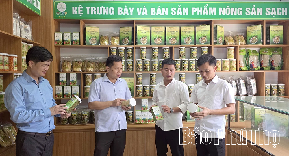 Đất rừng khơi mạch tiềm năng