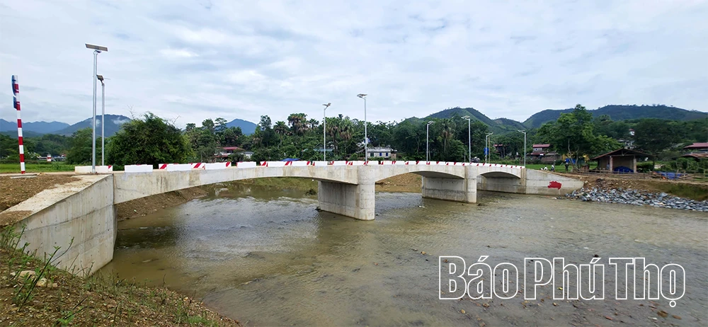 Đất rừng khơi mạch tiềm năng