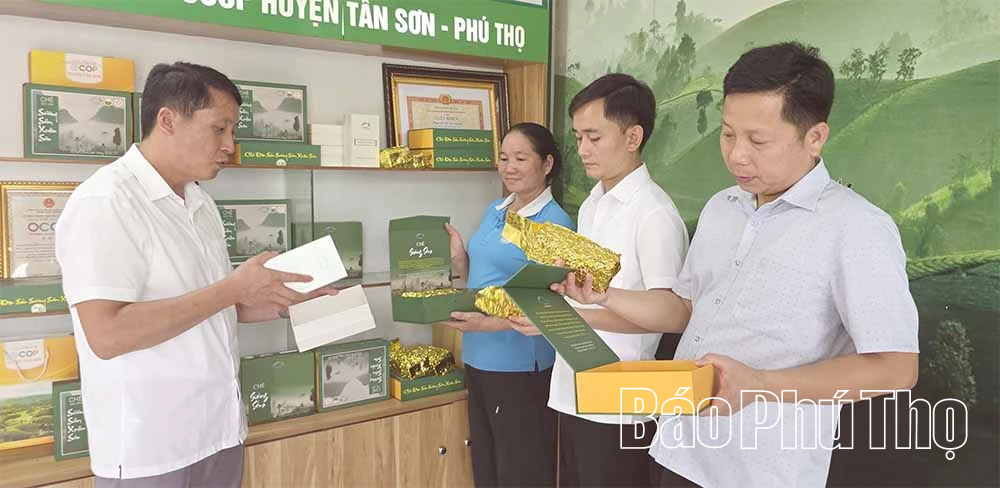 Xuân Đài tạo nền tảng phát triển nông nghiệp bền vững