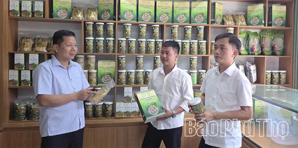 Xuân Đài tạo nền tảng phát triển nông nghiệp bền vững