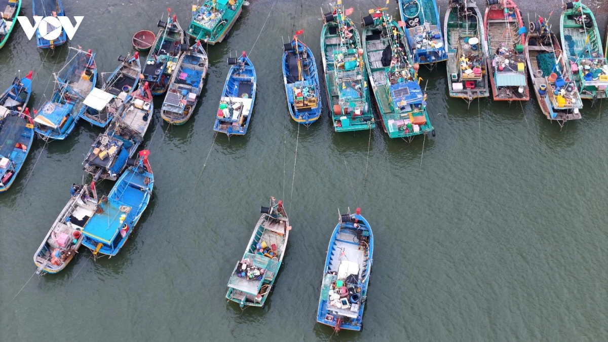 Biển Lộc An: Vẻ đẹp thanh bình của nàng tiên say giấc bên bờ đại dương