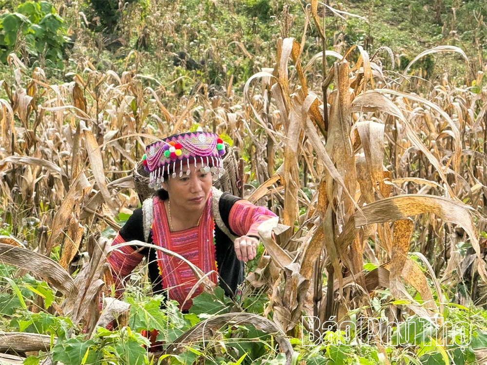 Khát cháy miền đá Hang Kia
