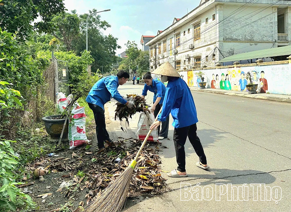 Sức trẻ Vĩnh Tường