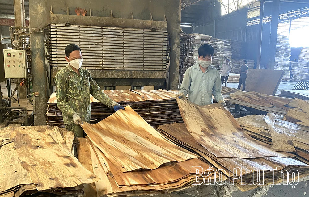 Yên Lập thúc đẩy phát triển kinh tế tư nhân