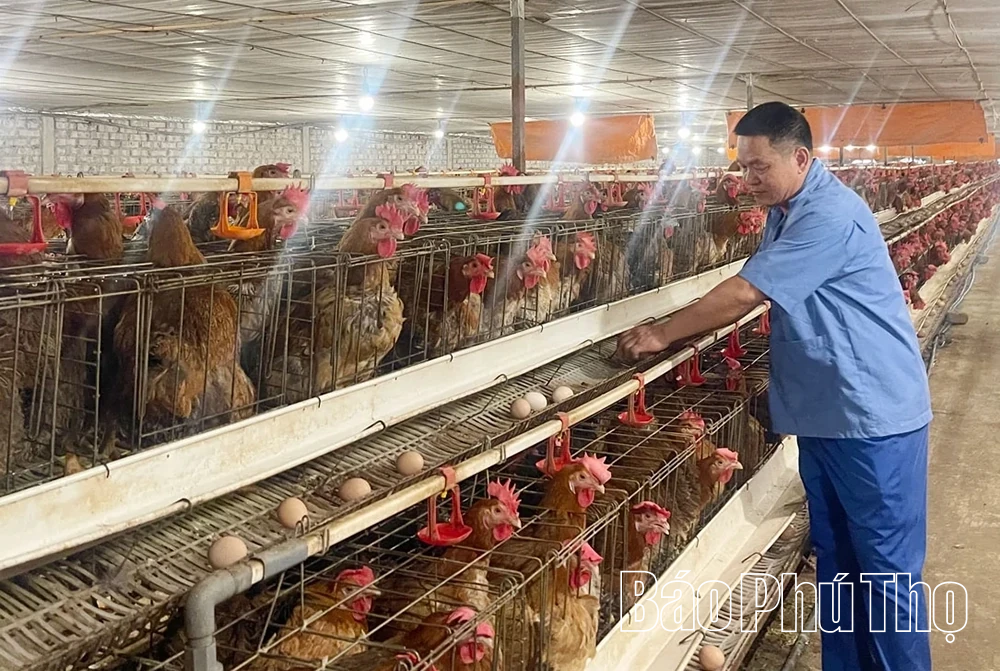 Đồng bộ các giải pháp nâng cao giá trị sản xuất nông nghiệp