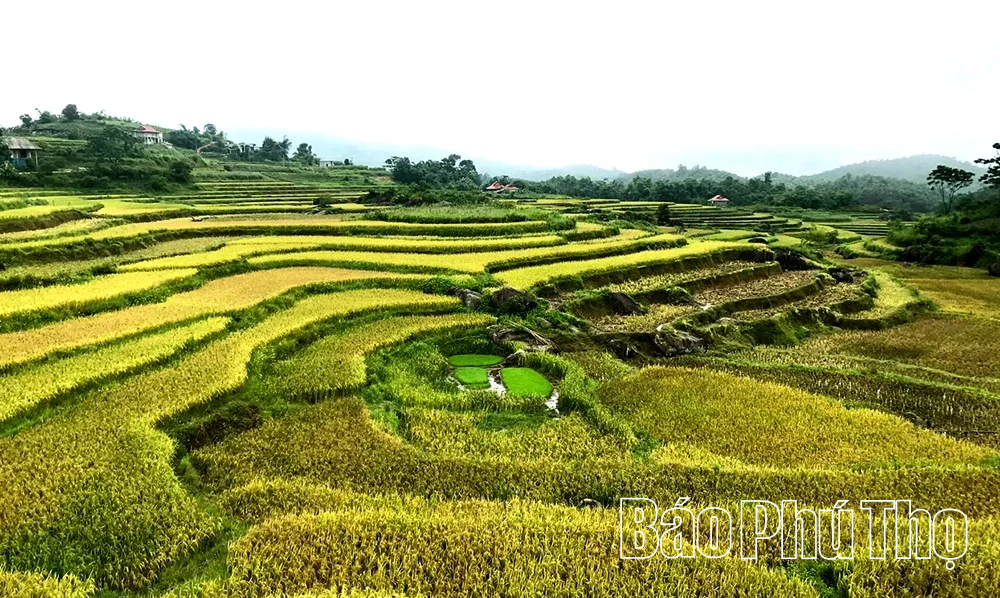 Khát vọng phát triển - hành động vì mục tiêu “tăng trưởng 2 con số”