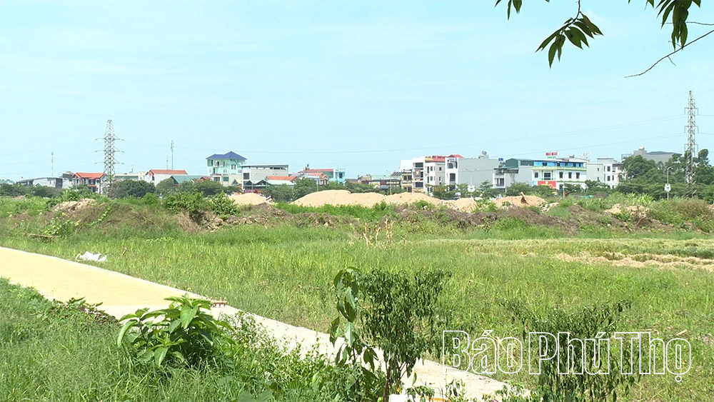 Phát huy vai trò của chi bộ trong công tác giải phóng mặt bằng