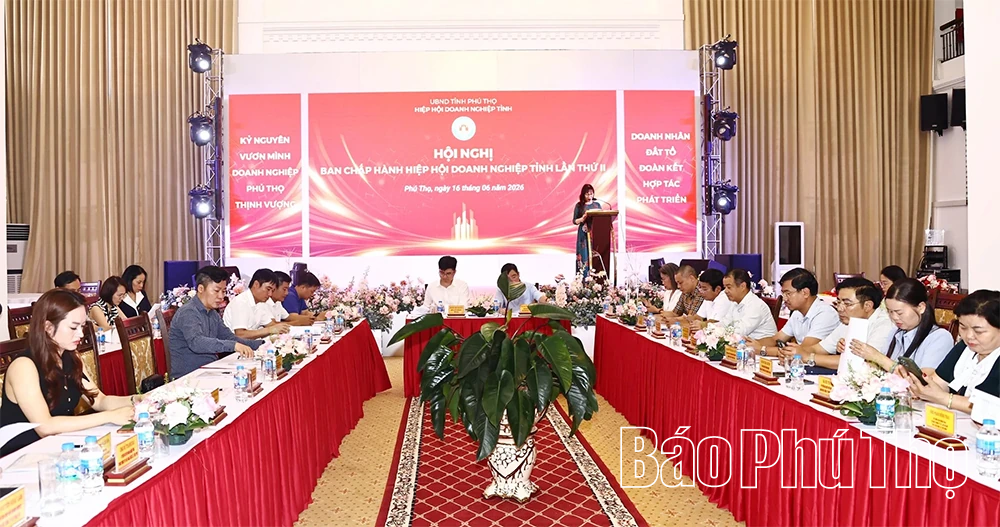 Hội nghị Ban Chấp hành Hiệp hội Doanh nghiệp tỉnh lần thứ 2