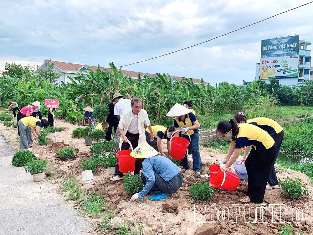 Từ bãi rác thành vườn hoa - câu chuyện đẹp về trách nhiệm với môi trường