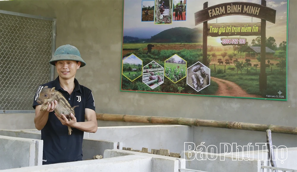 Bình Minh trên núi
