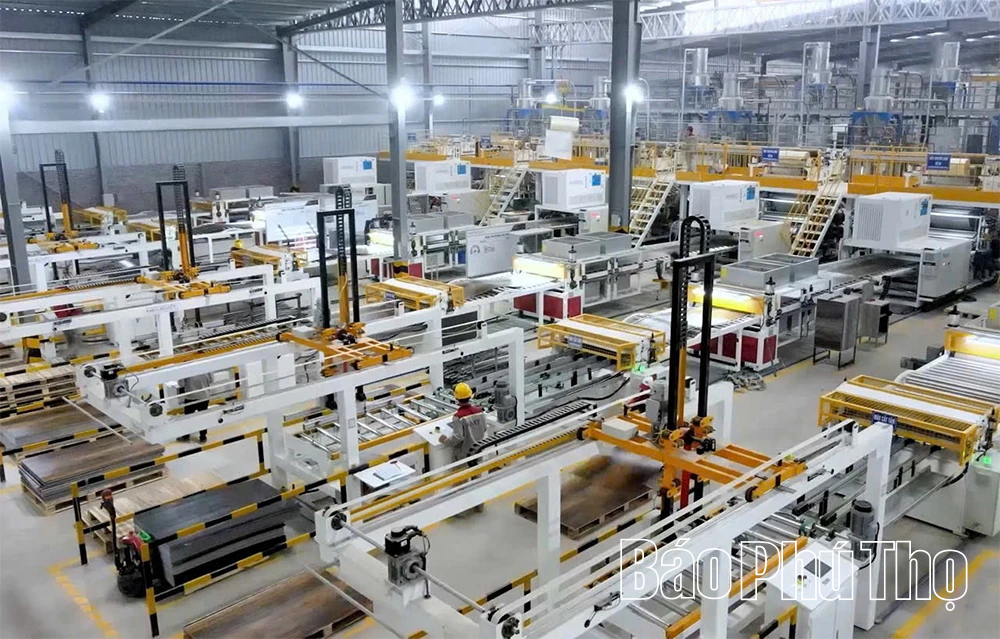 AMY GRUPO: Một thập kỷ xây nền cho những khát vọng lớn