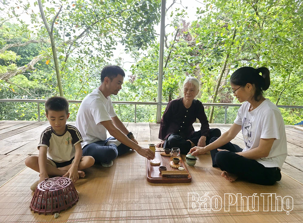 Vườn cò Hải Lựu - Điểm du lịch sinh thái, trải nghiệm hấp dẫn