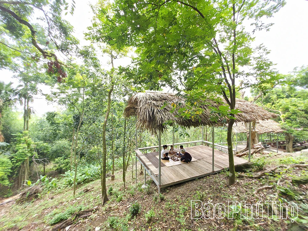 Vườn cò Hải Lựu - Điểm du lịch sinh thái, trải nghiệm hấp dẫn