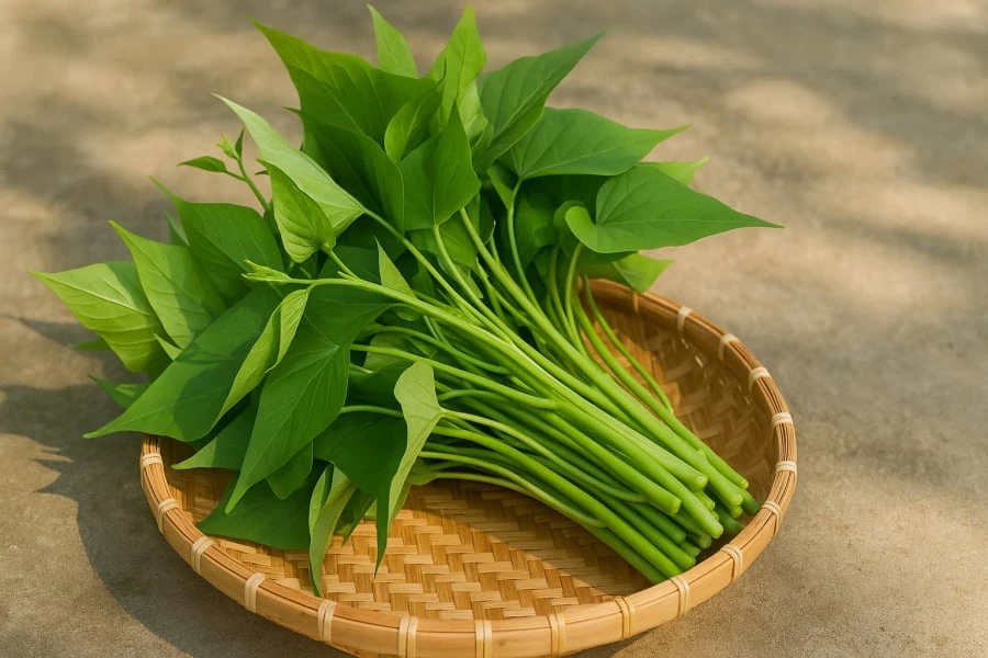 Giá cả thị trường ngày 18/6/2026