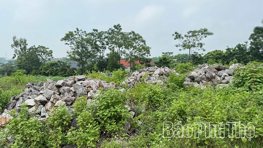 Siết chặt an toàn hồ đập, giảm thiểu rủi ro thiên tai