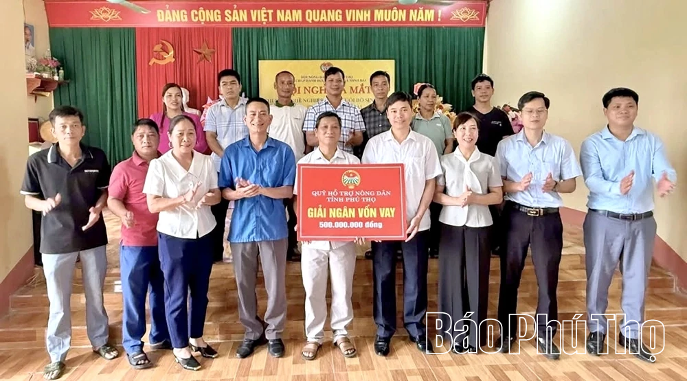 Toàn tỉnh: Thành lập mới 116 tổ, chi hội nông dân nghề nghiệp