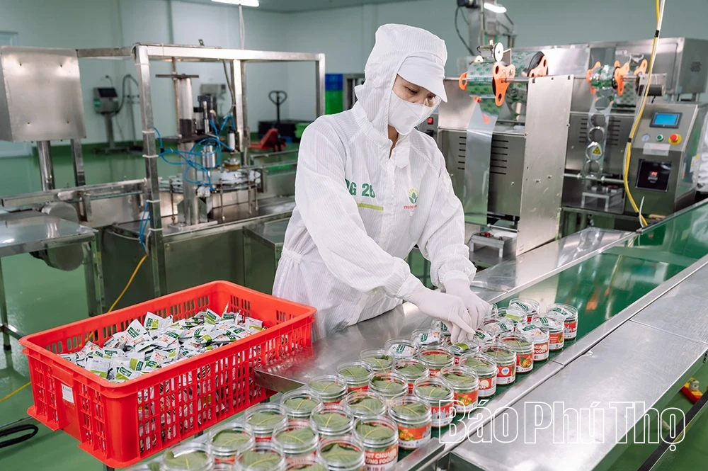 Hương vị truyền thống Đất Tổ vươn xa
