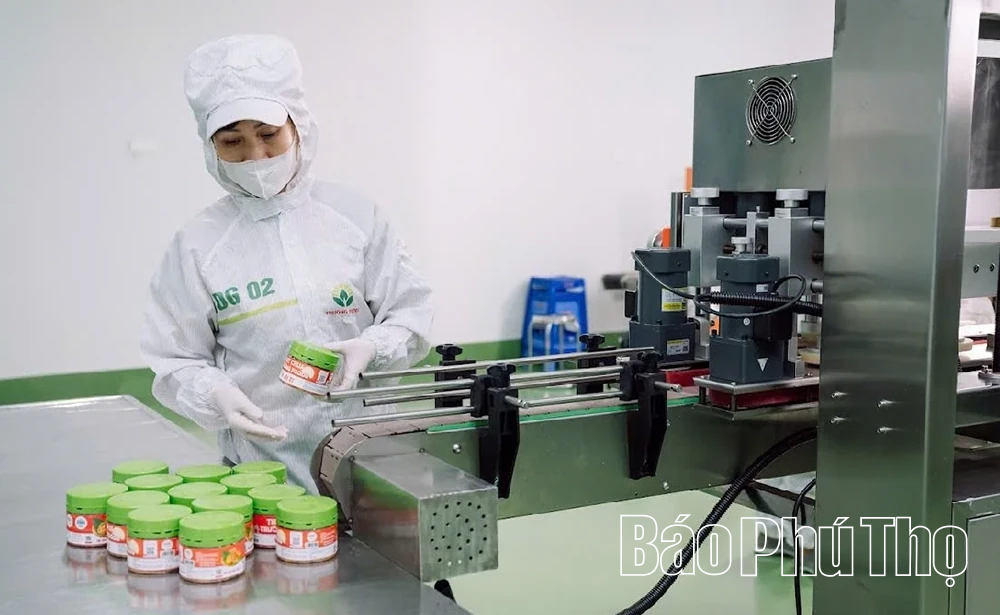 Hương vị truyền thống Đất Tổ vươn xa