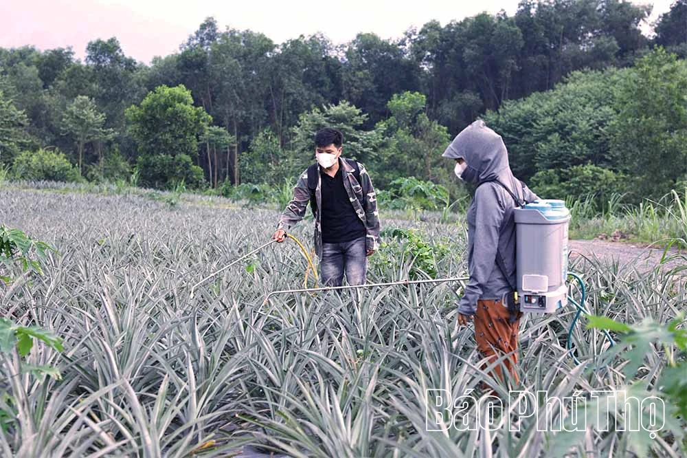 Chủ động bảo vệ sức khỏe trước diễn biến phức tạp của thời tiết