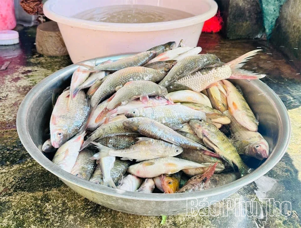 Nơi thượng nguồn sông Chảy