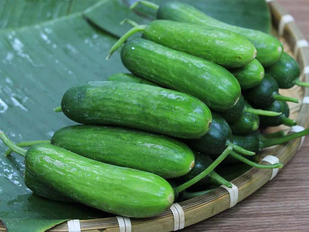 Giá cả thị trường ngày 23/6/2026