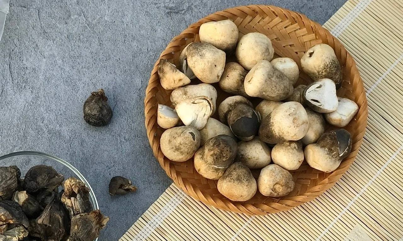 Giá cả thị trường ngày 26/6/2026