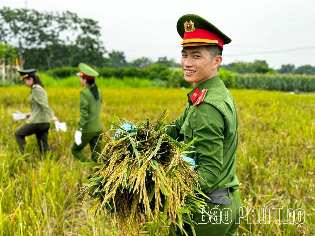 Lan tỏa sức mạnh toàn dân, giữ bình yên từ cơ sở