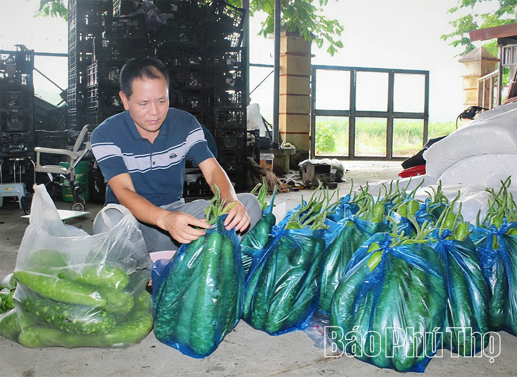 Bước chuyển mình ấn tượng ở Hoàng An