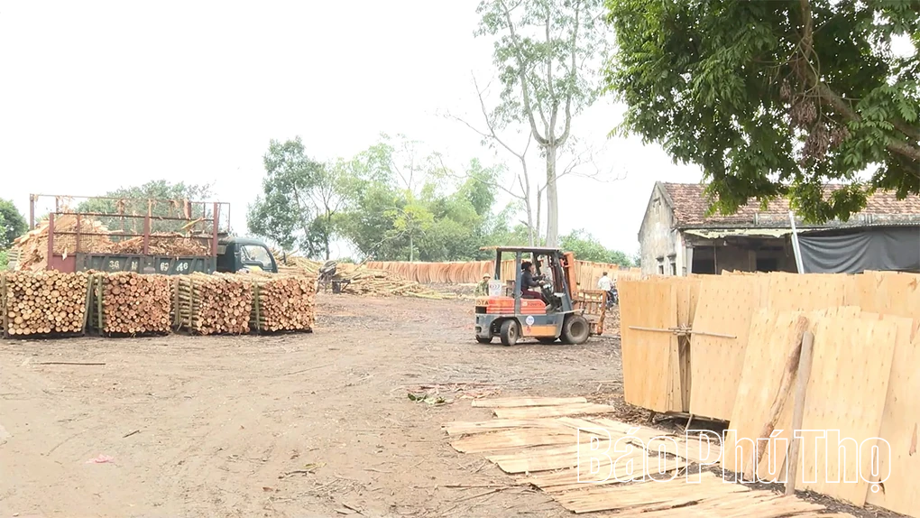 Hợp Lý khai thác lợi thế, tạo động lực phát triển