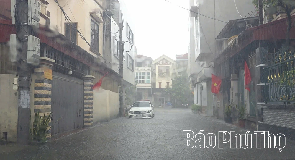 Chủ động ứng phó mưa lũ do bão số 1 gây ra